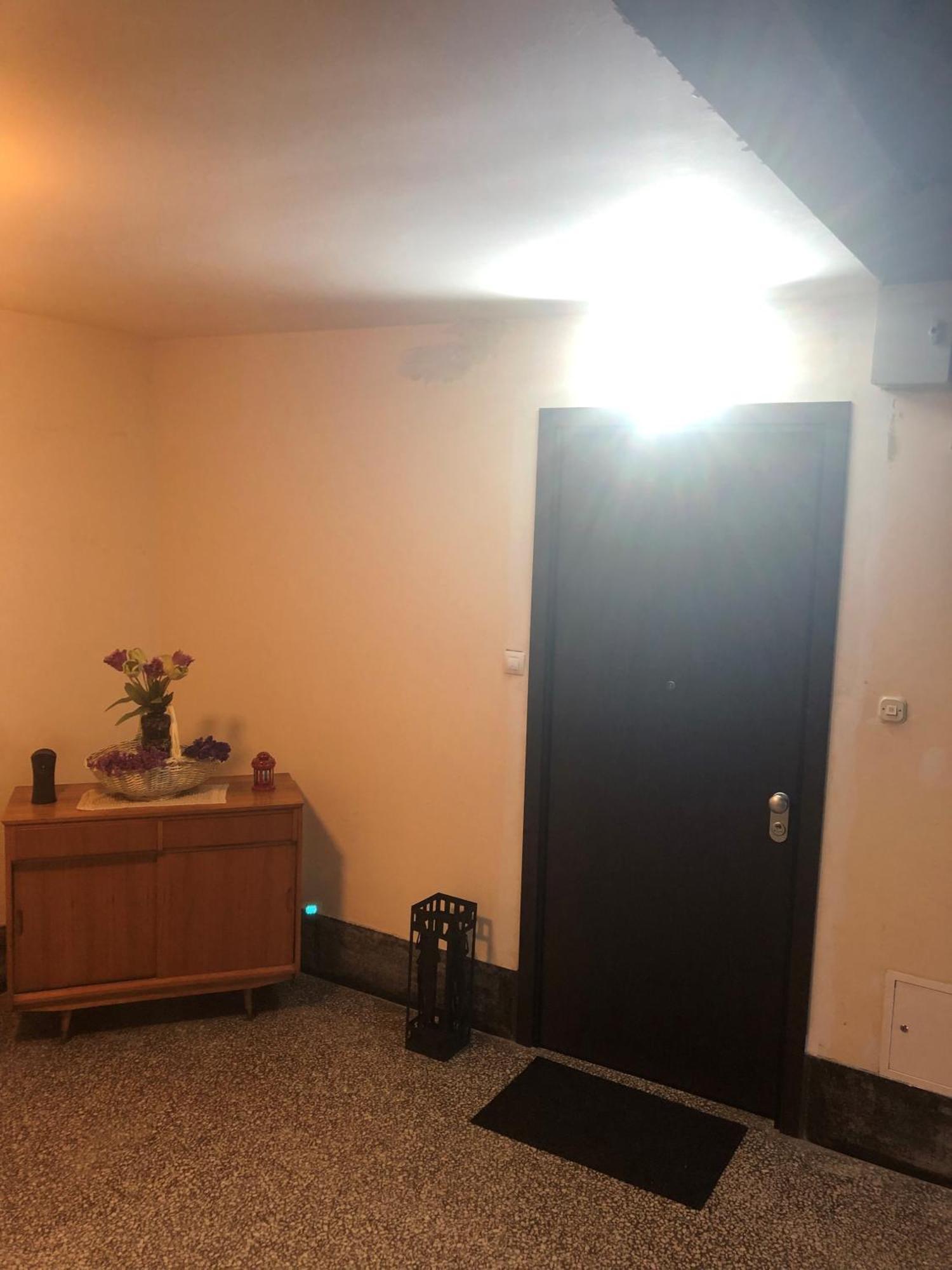 Rakuscha Apartment زغرب المظهر الخارجي الصورة